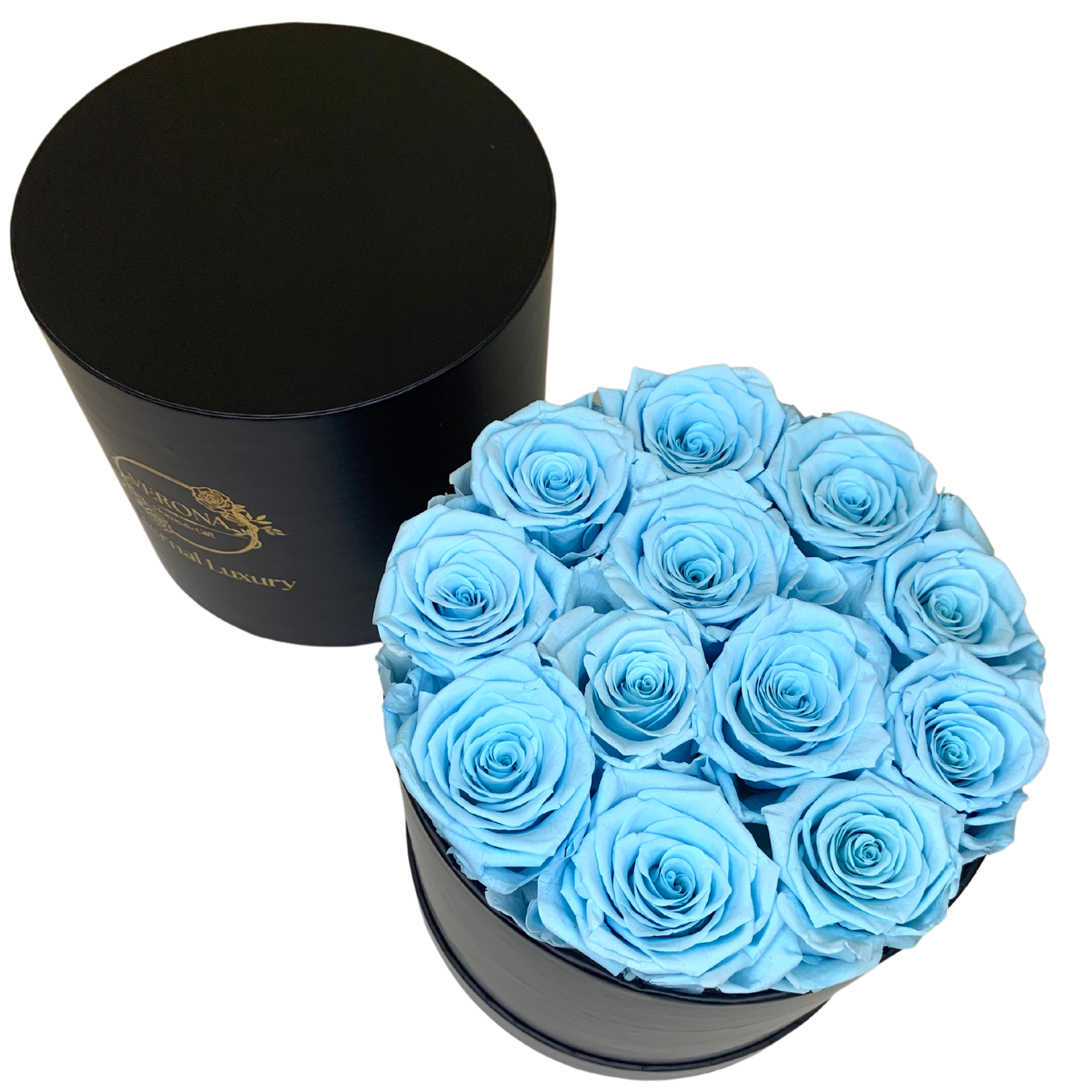 verona home and gift - Wholesale Dried/Pressed Flowers - 12 Real Preserved Roses that Last Forever In Round Box4