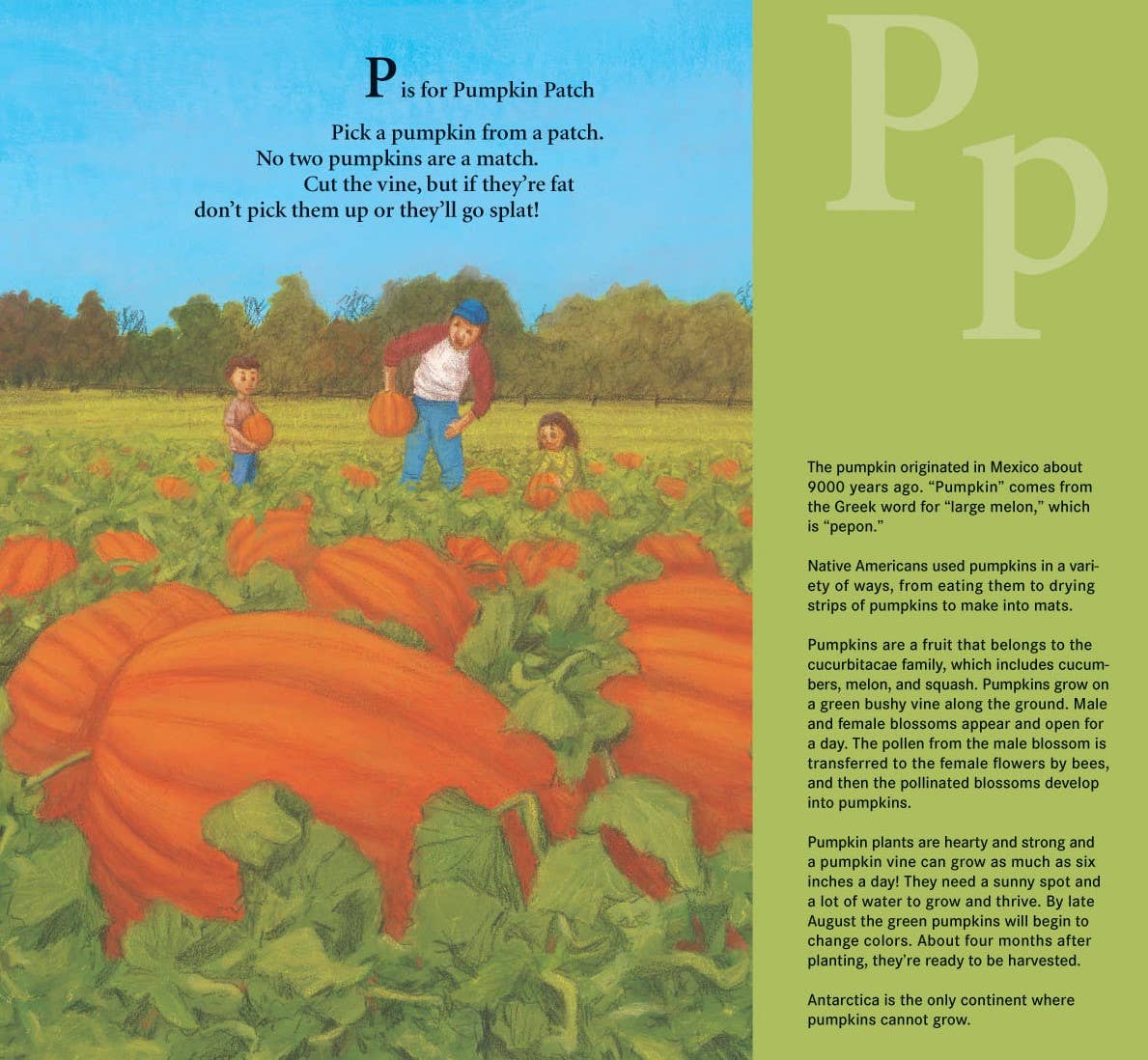 Sleeping Bear Press - Wholesale Preschool Book (3-5) - J is for Jack-O-Lantern: A Halloween Alphabet Picture Book5