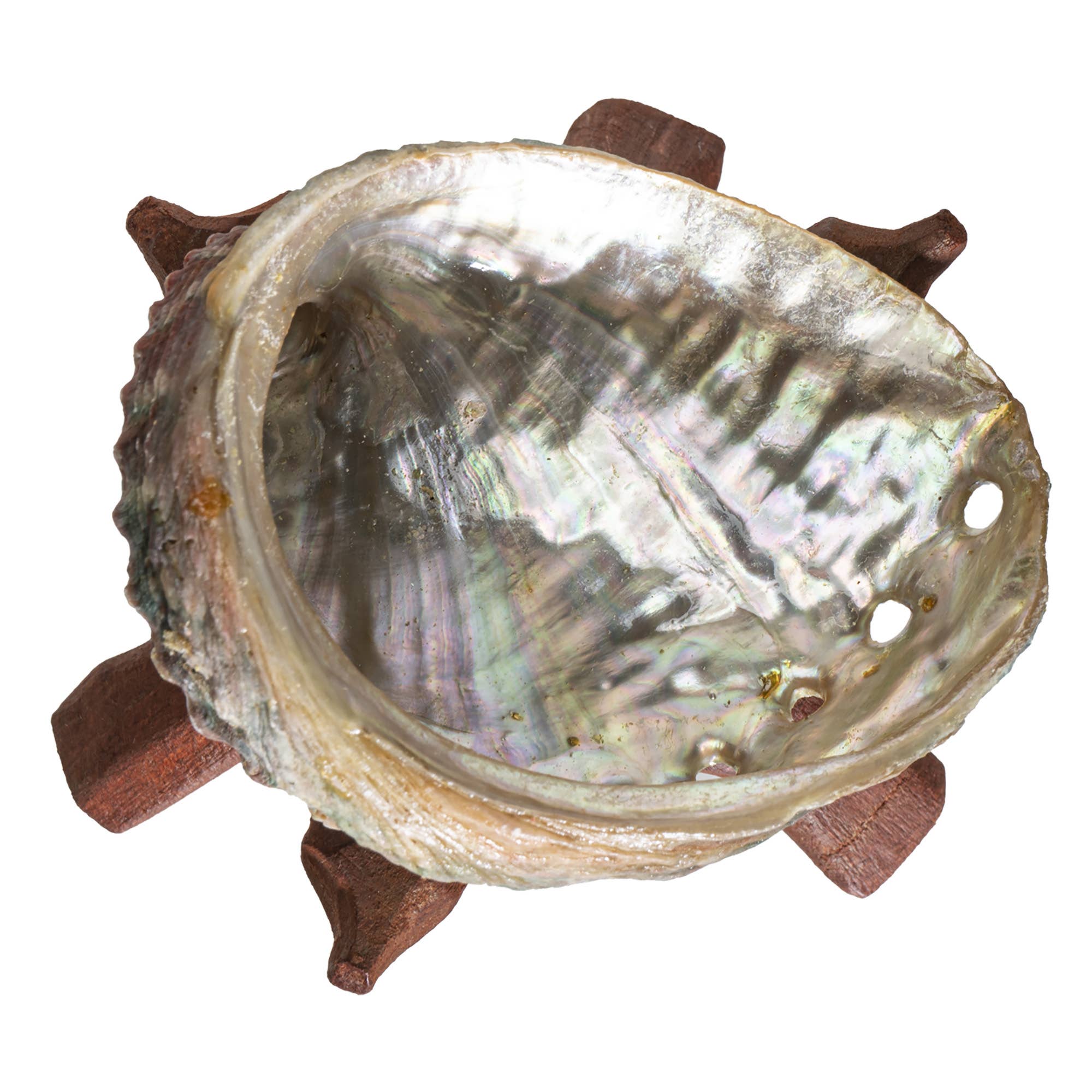 Pacific Trading - Wholesale Smudge Plate - Abalone Smudge Shell With Tripod Stand 4"2