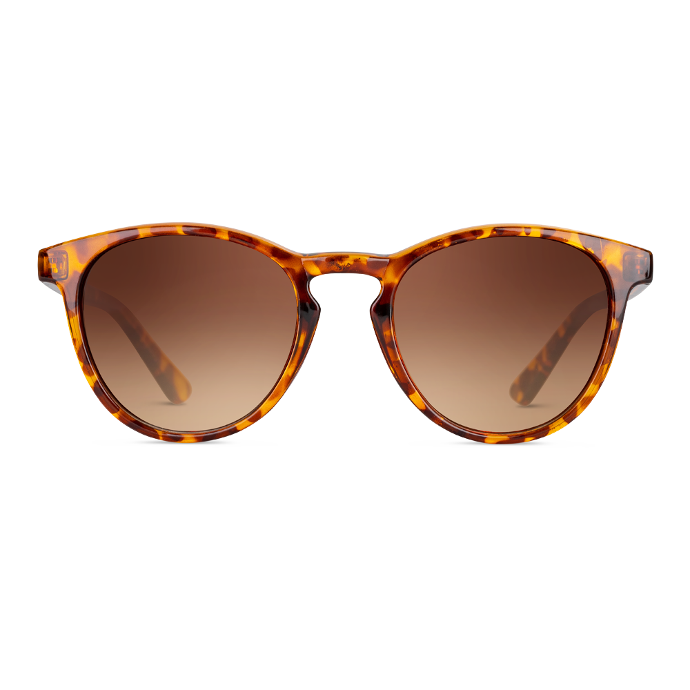 TWIG Concept Milano - Wholesale Sunglasses - Unisex - PASTEUR - Sunglasses4