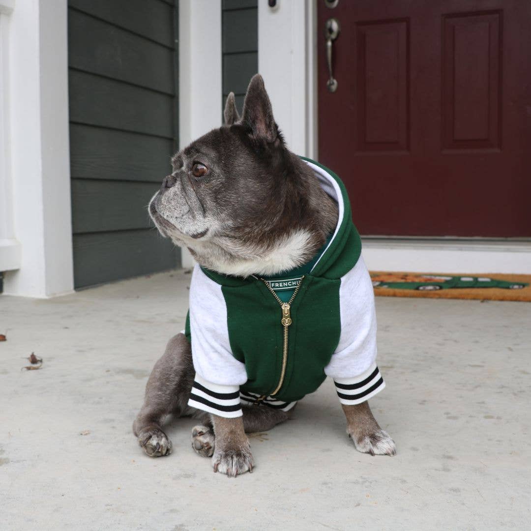 Frenchie - Wholesale Pet Hoodie - Dog - Frenchie Dog Hoodie - Emerald City Varsity10