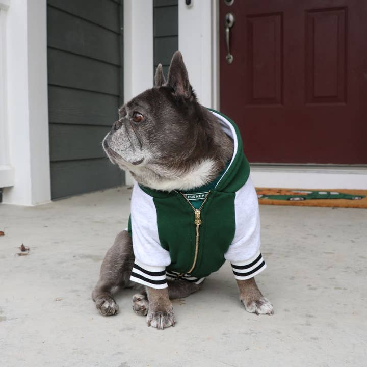 Frenchie - Wholesale Pet Hoodie - Dog - Frenchie Dog Hoodie - Emerald City Varsity10