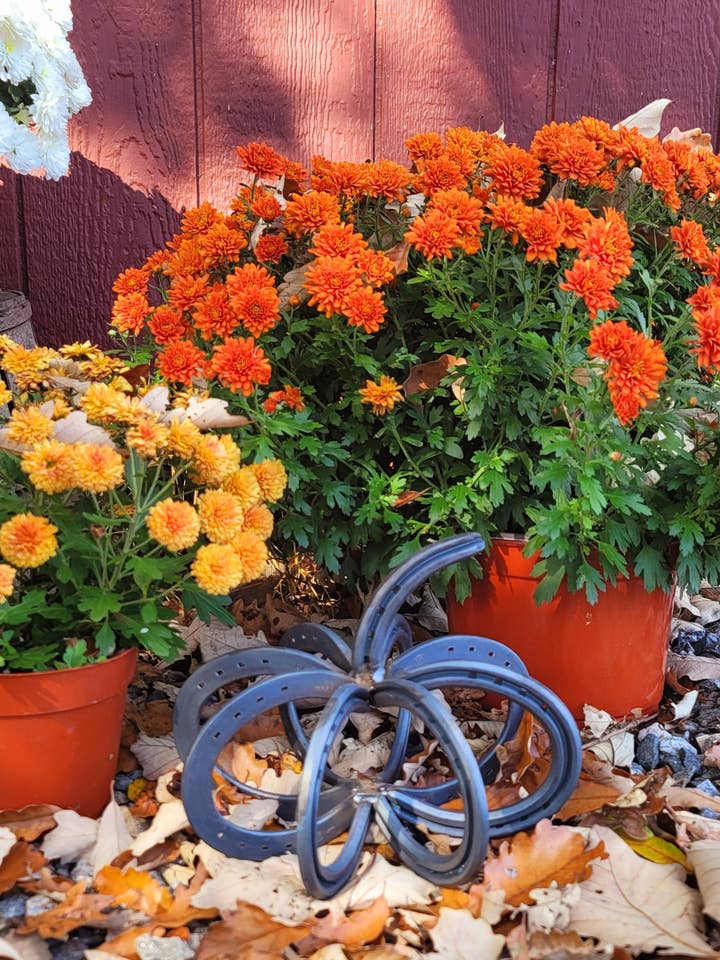 Horseshoe Pumpkin for wholesale by Arc and Hammer