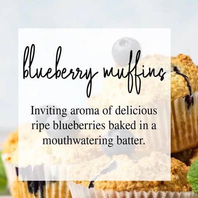 Timber Oak Candles - Wholesale Jar/Filled Candle - 8oz | 100% Pure Soy Mason Jar Candles | 40+ Scents2