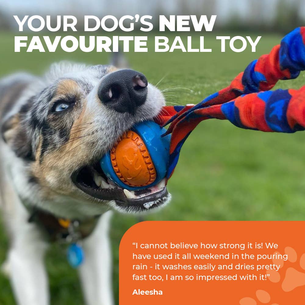 Tug-E-Nuff – wholesale Pet fetch ball – Dog – Pocket PowerBall Bungee Tug | Fetch Dog Toys | Tug-E-Nuff6