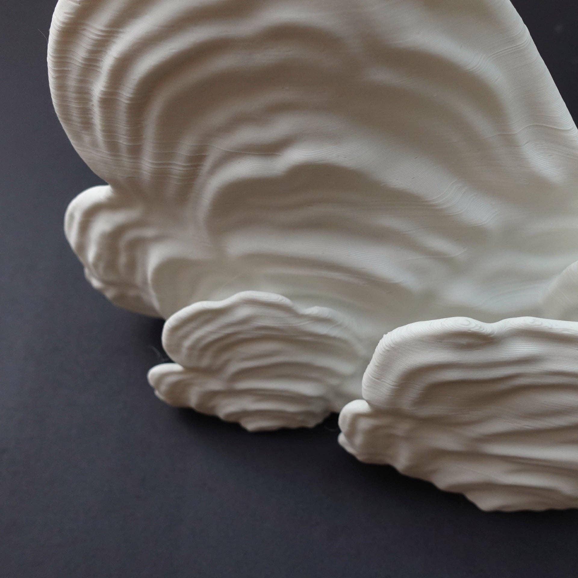 Brehmwood Creative - Wholesale Wall Mounted Shelf - Shimmering Ostrea Floating Shelf - Unique Fungus Design in 6 Colors, Perfect Home Decor5