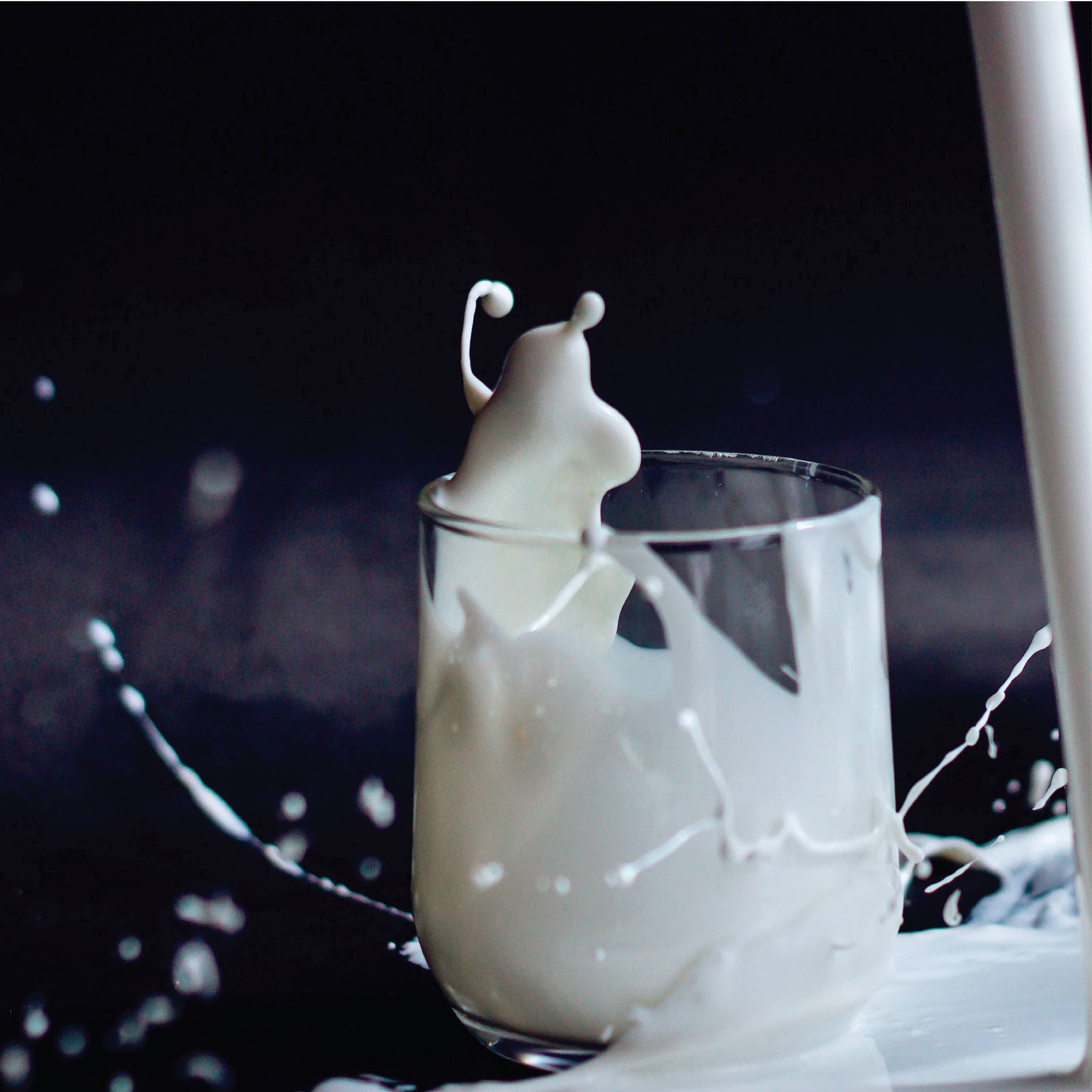 DIRTY COW CHOCOLATE – wholesale Liqueur – Loaded Chocolate | Dirty Cow Cre*m Liqueur Plant Based Vegan7