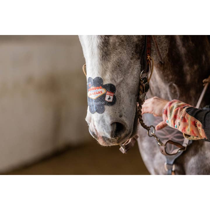 EquiBreathe™ – Equipamento de equitação por atacado – EquiBreathe™ Adesivo Nasal Equino - Vegas5