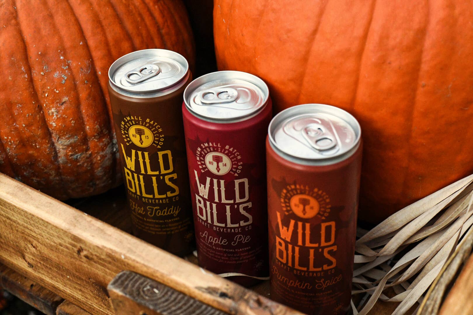 Wild Bill’s Craft Beverage Co. - Wholesale Soda/Carbonated Drink - Pumpkin Spice - Premium Cane Sugar Soda, 12-Pack, Cans7