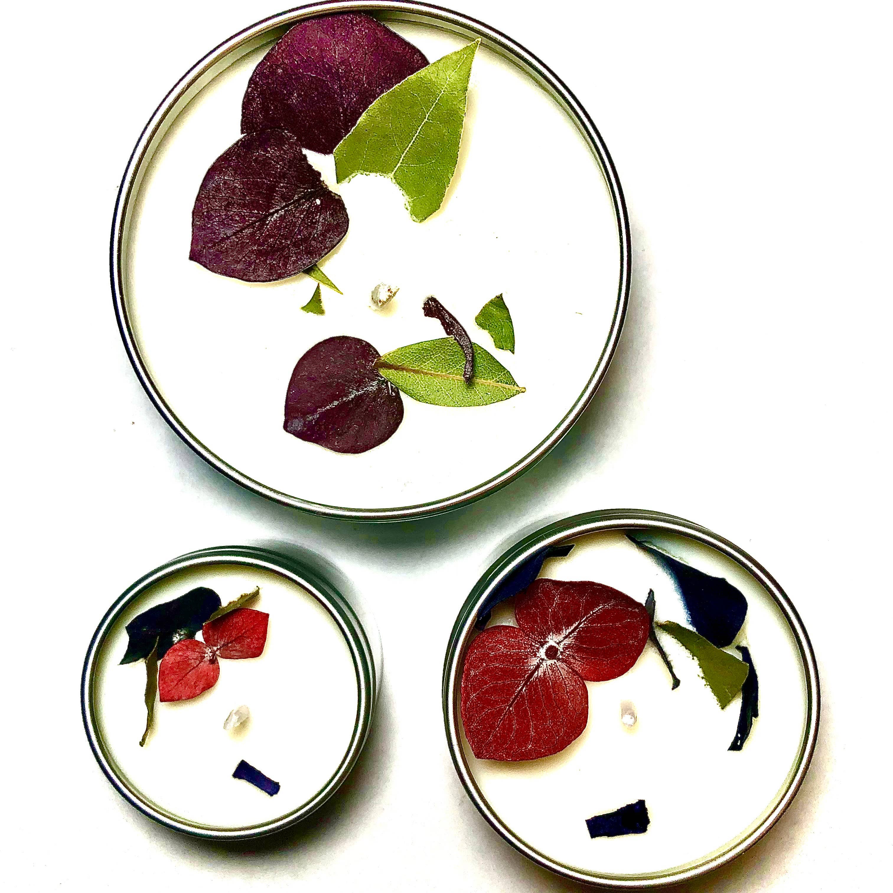 No Ennui - Wholesale Travel Candles - "Breathe" Eucalyptus & Mint Blend Botanical Soy Candle4