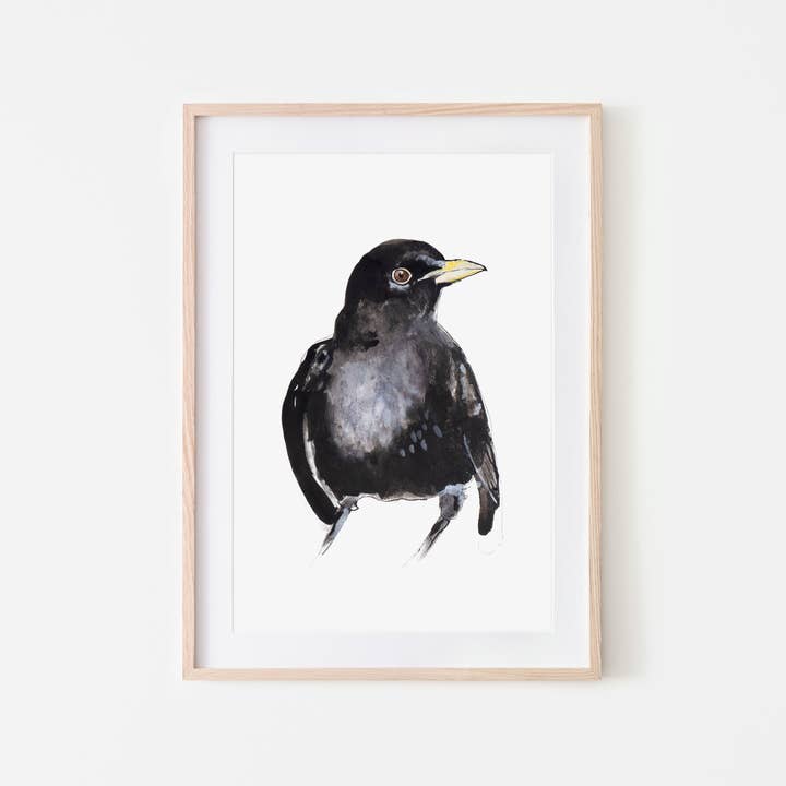 Impresión de mirlos en formato A4 y A3 para venta al por mayor de Studio Angelart