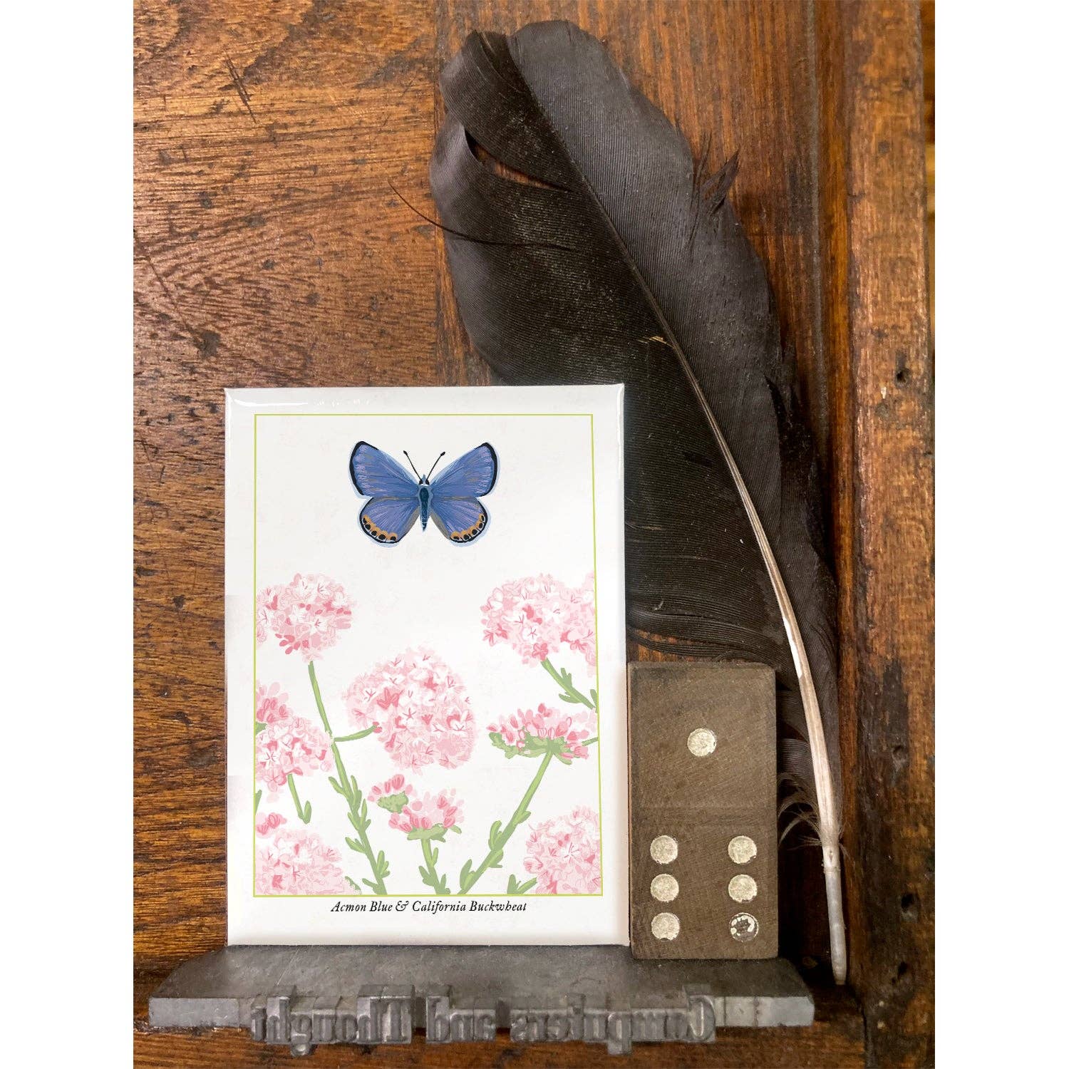 Rigel Paper – wholesale Magnet – RBU-740 Acmon Blue Butterfly Magnet2