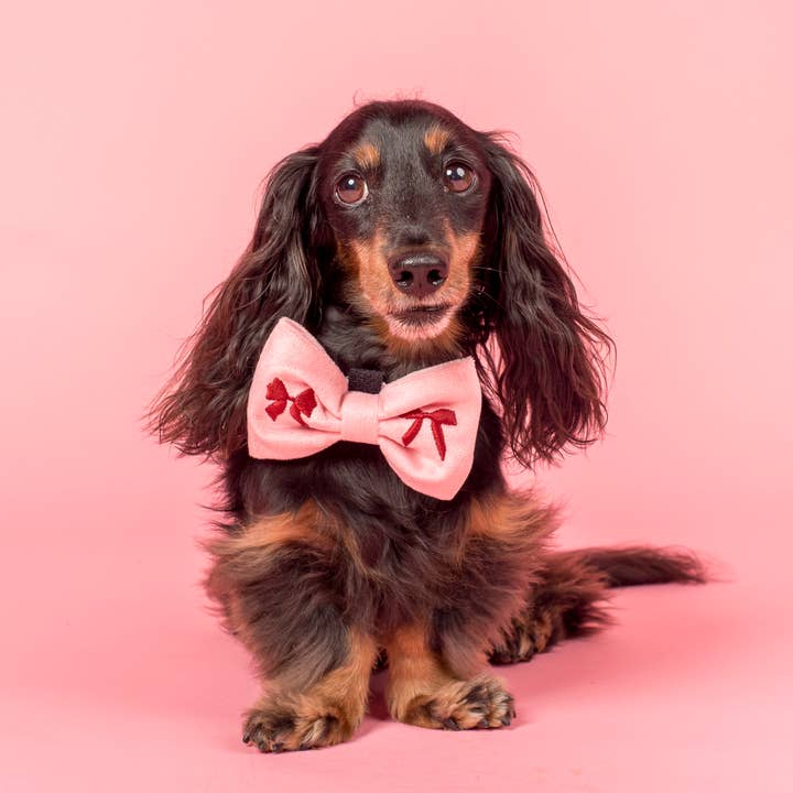 Pablo & Co. Boutique - Wholesale Pet bow tie – Dog - Velvet Blush Bows Embroidered Dog Bow Tie