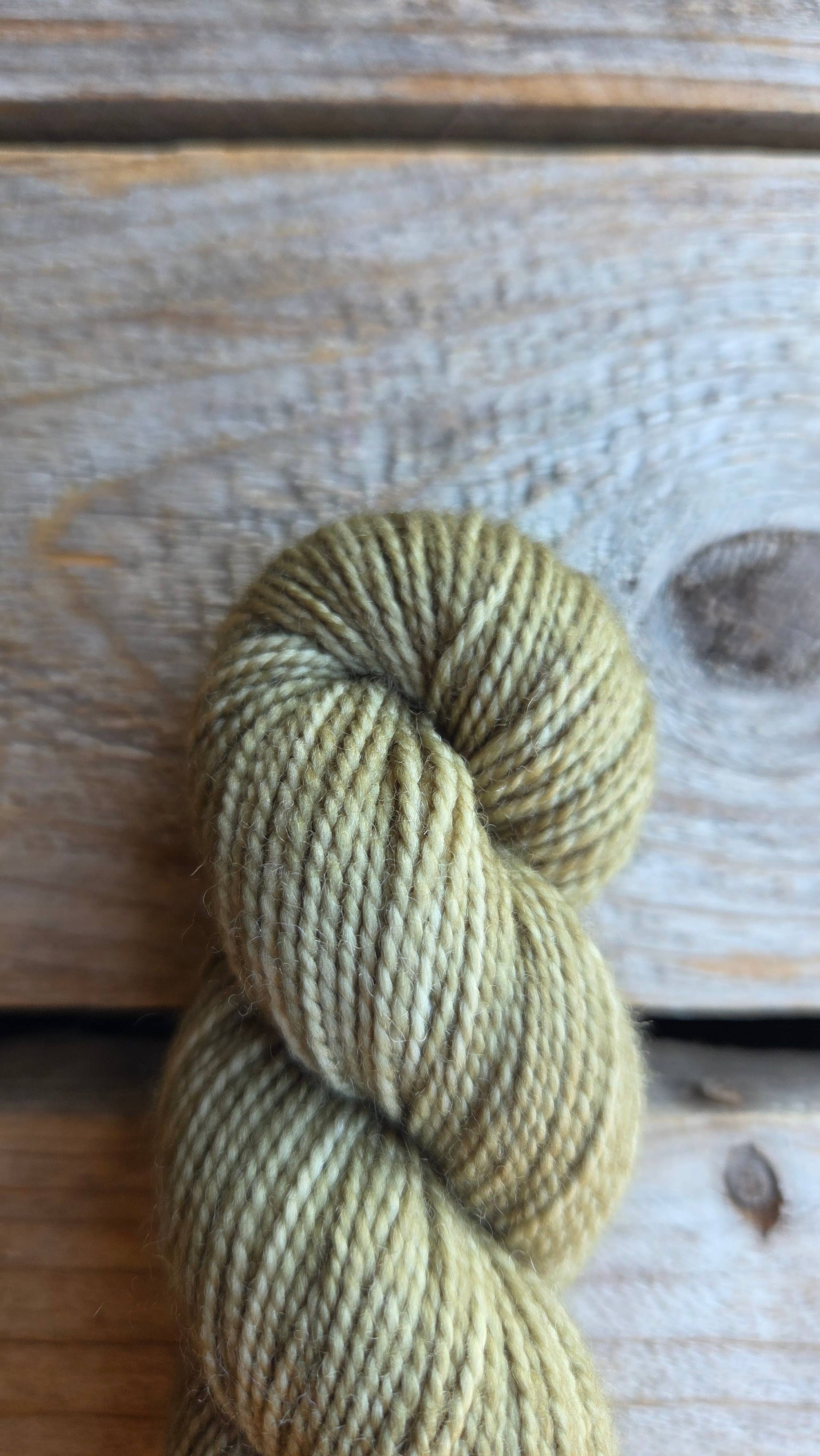 Koigu Wool Designs - Venta al por mayor Hilos - Paleta KPM de vacaciones (hilo de merino fingering)3