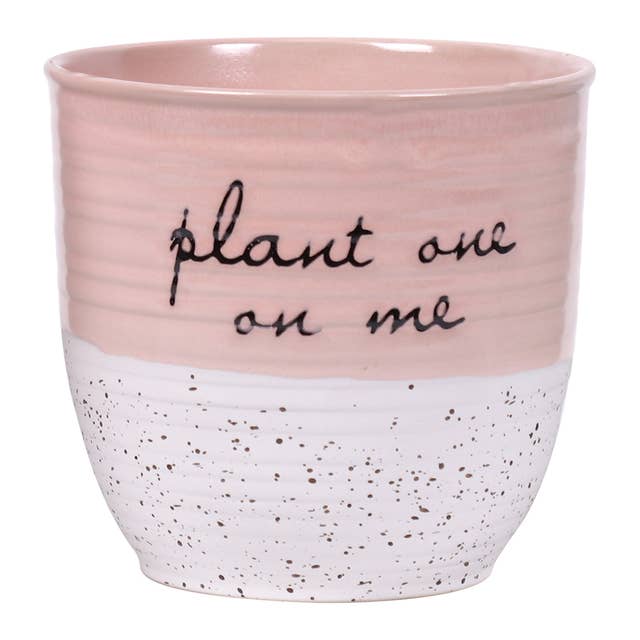 Patricia 5" Bloempot voor wholesale door Blue Sky Clayworks