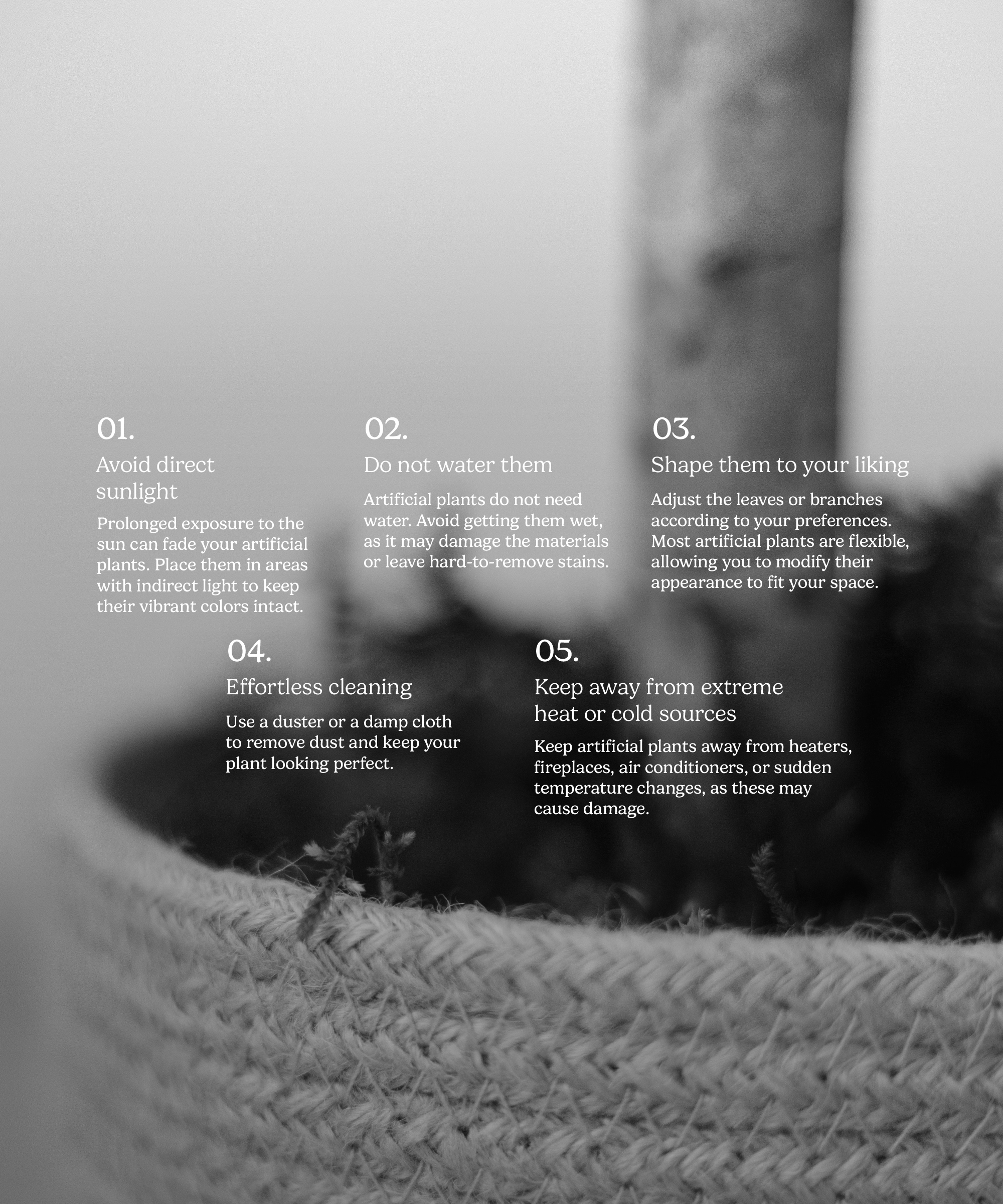 Maia Shop: No Duties for the US - Vente Plantes artificielles - Arbre d'olivier artificiel minimal de 1,5 m6