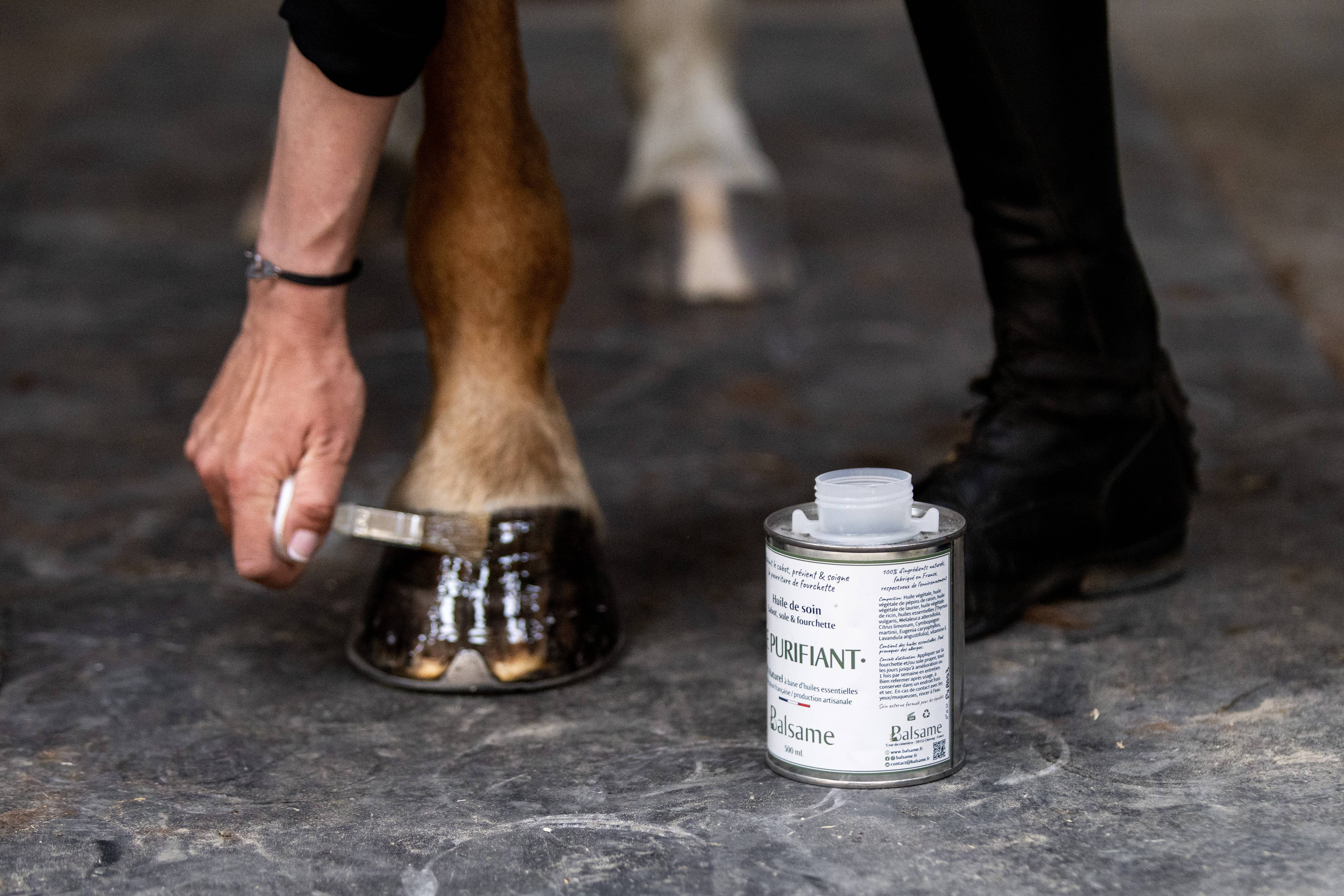 BALSAME - Wholesale Horse Conditioner/Grooming Aid - THE PURIFYING, Hoof Oil0