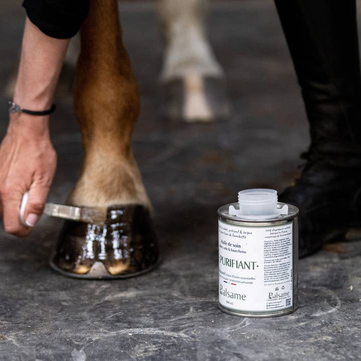 BALSAME - Wholesale Horse Conditioner/Grooming Aid - THE PURIFYING, Hoof Oil