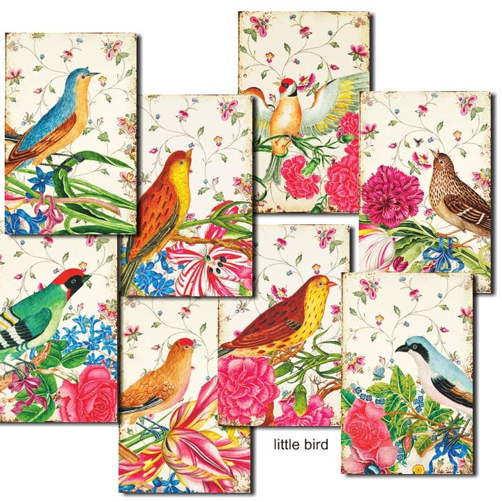 Little Bird - MINI Scrapbook Paper for wholesale by DECORER