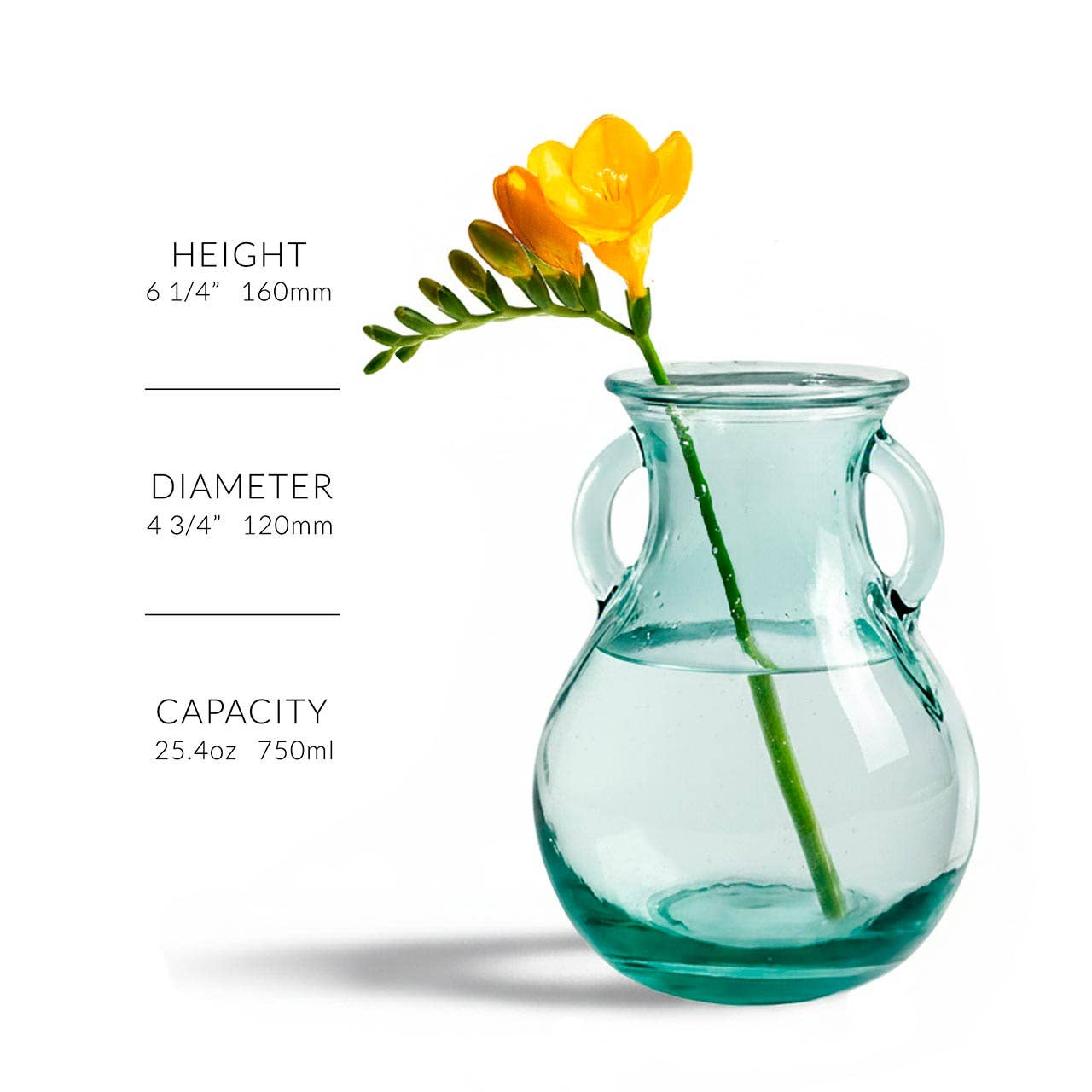 Couronne Co. - Wholesale Vase - 6 1/4" Small French Country Glass Vase5