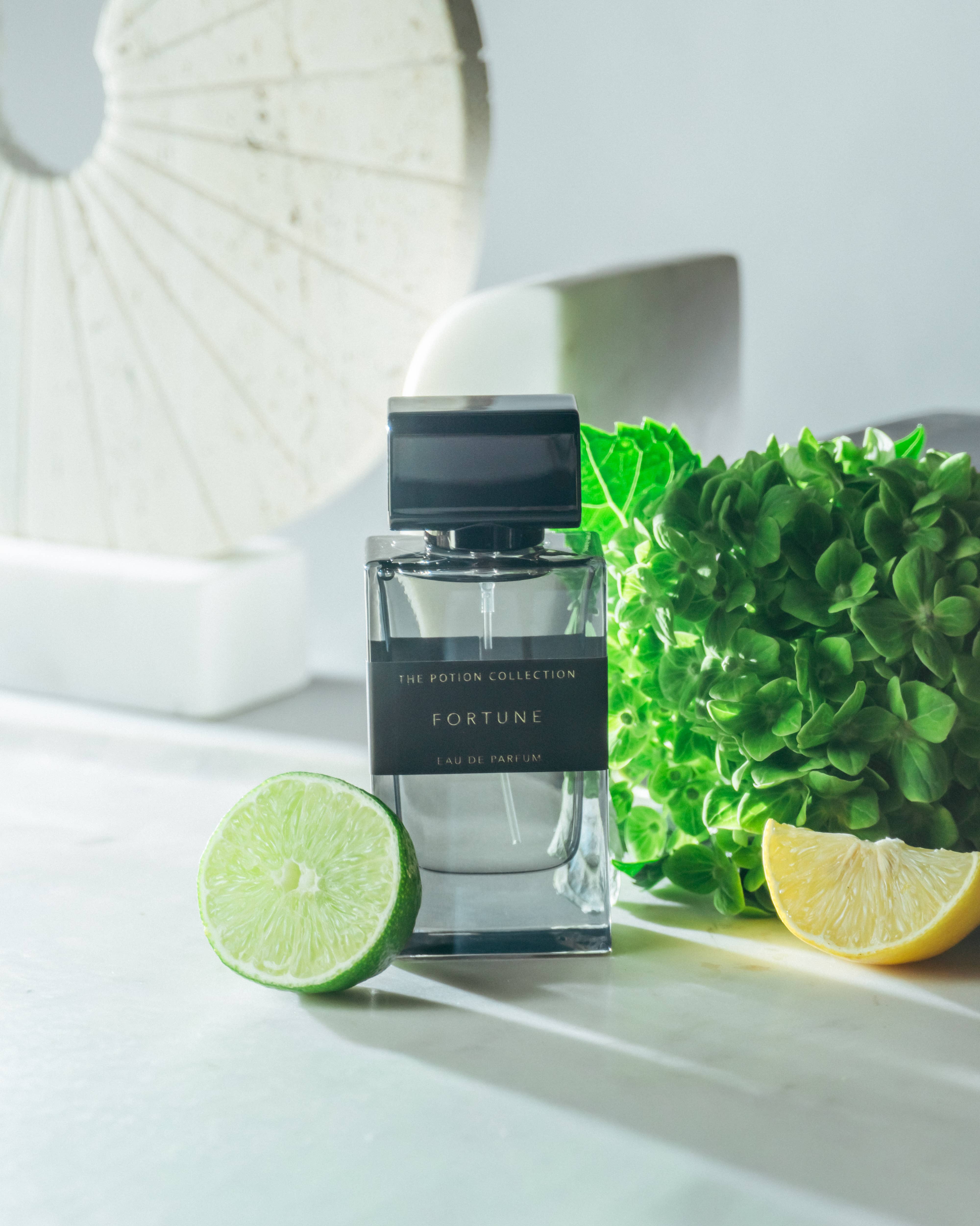 Spitfire Girl - Wholesale Perfume/Eau de Toilette - Potion Perfume Fortune1