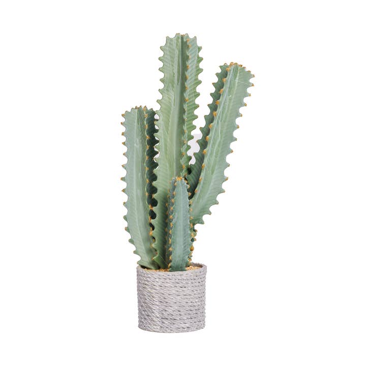 Nepcactus| 20” hoog | Leuke woondecoratie| Vintage Home voor wholesale door Vintage Home