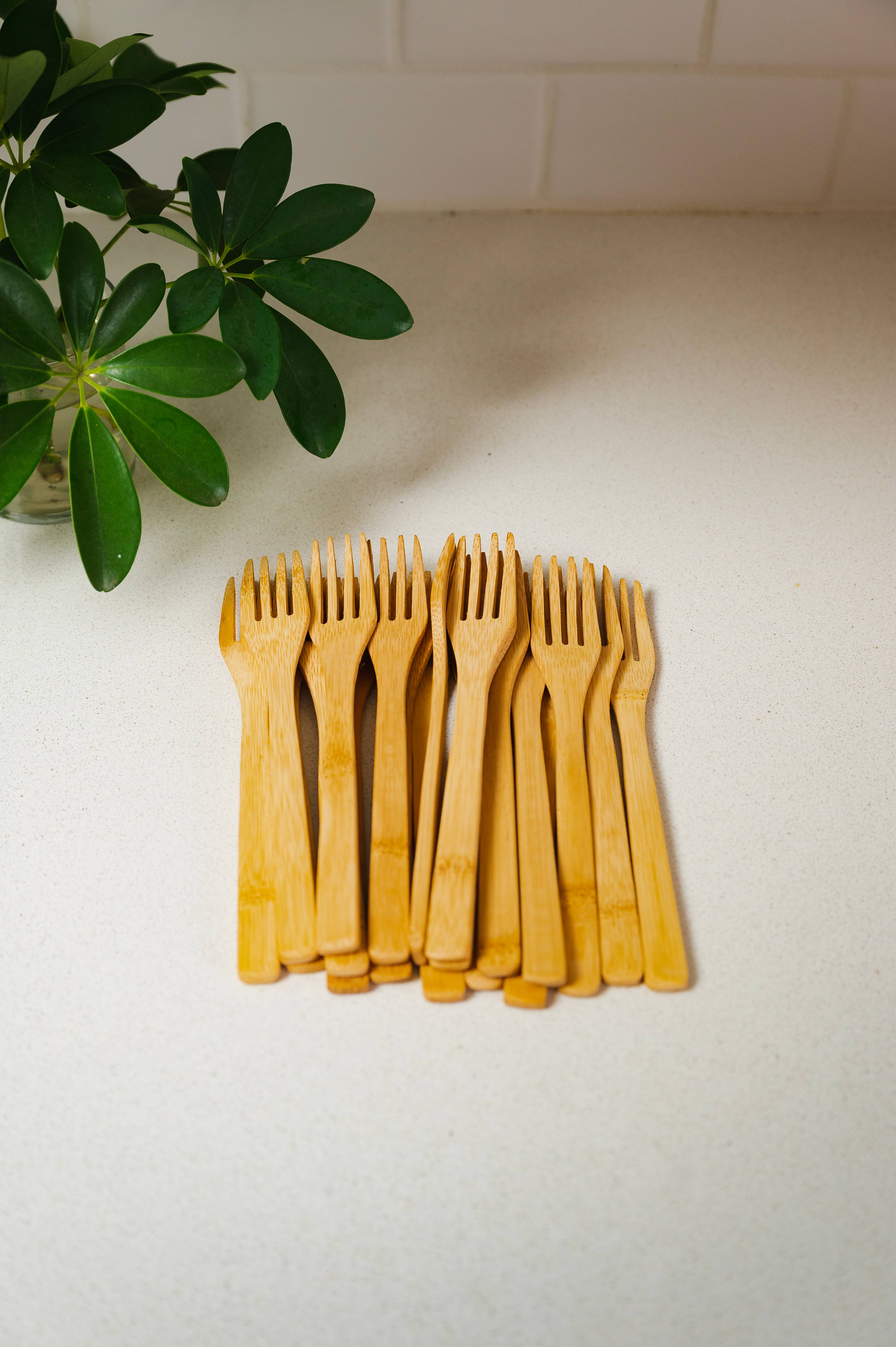 Bamboo Switch - Wholesale Table fork - Individual Bamboo Utensil | Fork