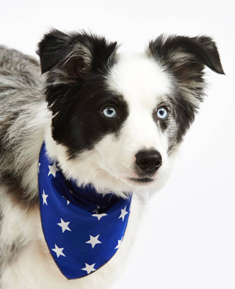 Pet Pooch Boutique - Wholesale Pet Bandana - Dog - Blue Star Puppy Dog Tie on Bandana - Handmade3