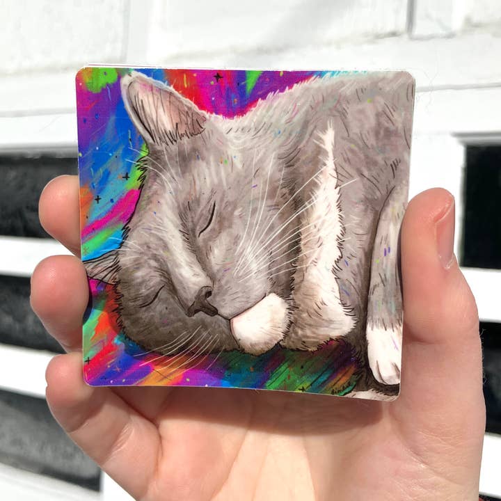 Søvnig Grå Kat med Regnbue Baggrund, Premium Vinyl for engroshandel hos Art Fimbel