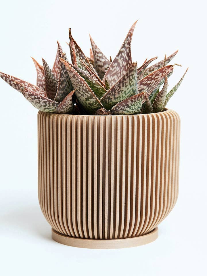 IONIC™ Beige Unique Flower Pot for wholesale by Woodland Pulse