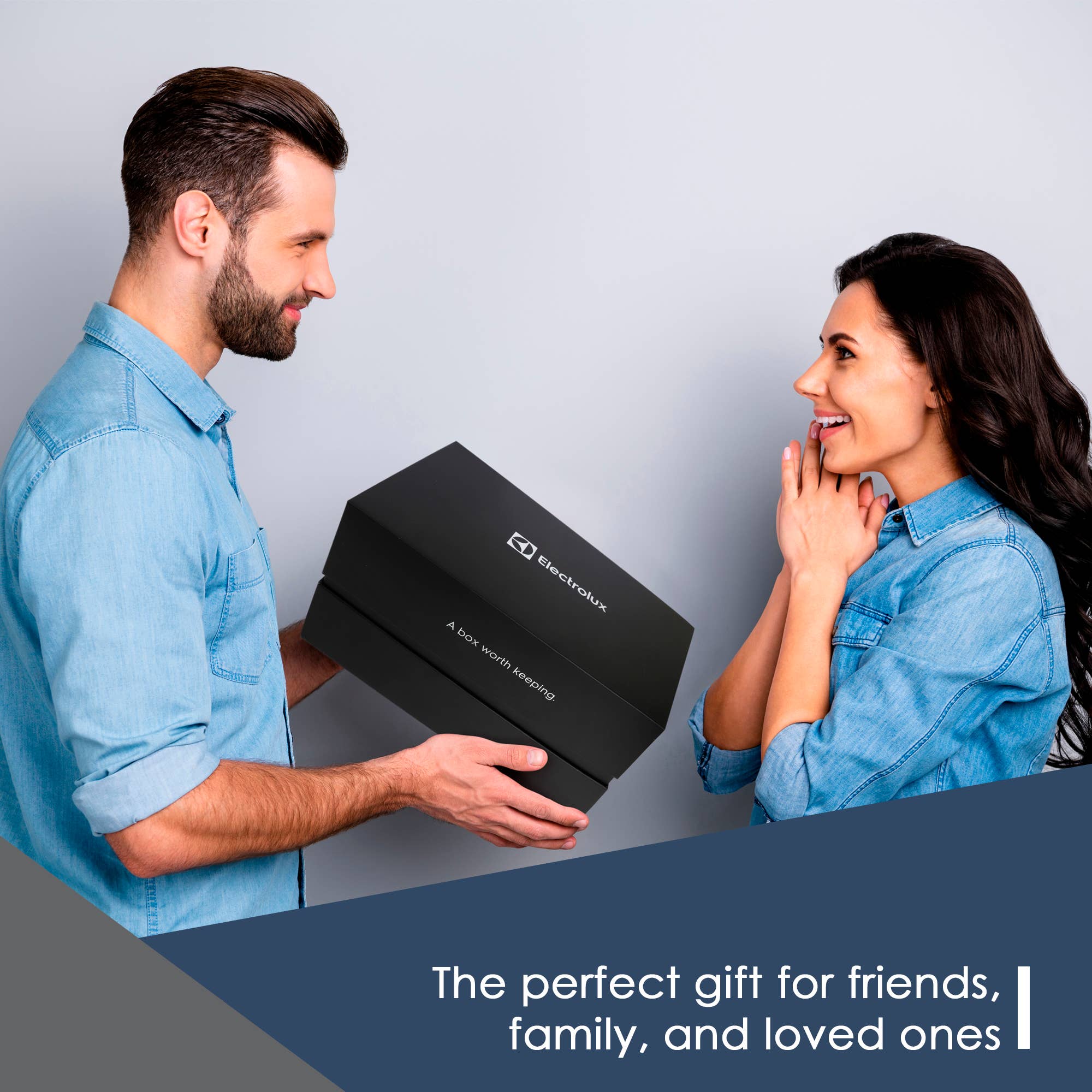 Smartek USA Inc. - Wholesale Steamer - Electrolux Handheld Steamer Blue- 1500W3