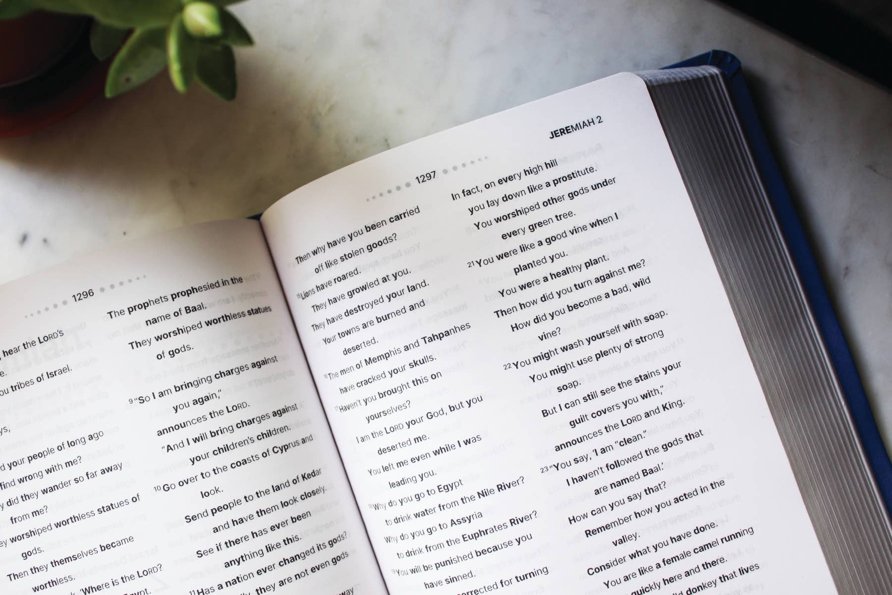 HarperCollins Christian Publishing - Wholesale Preschool Book (3-5) - NIrV, Clear Focus Bible For Kids, Leathersoft, Blue5