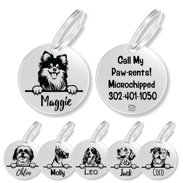 Gepersonaliseerde hondenpenning voor rassen (Pommeren) voor wholesale door PawFurEver