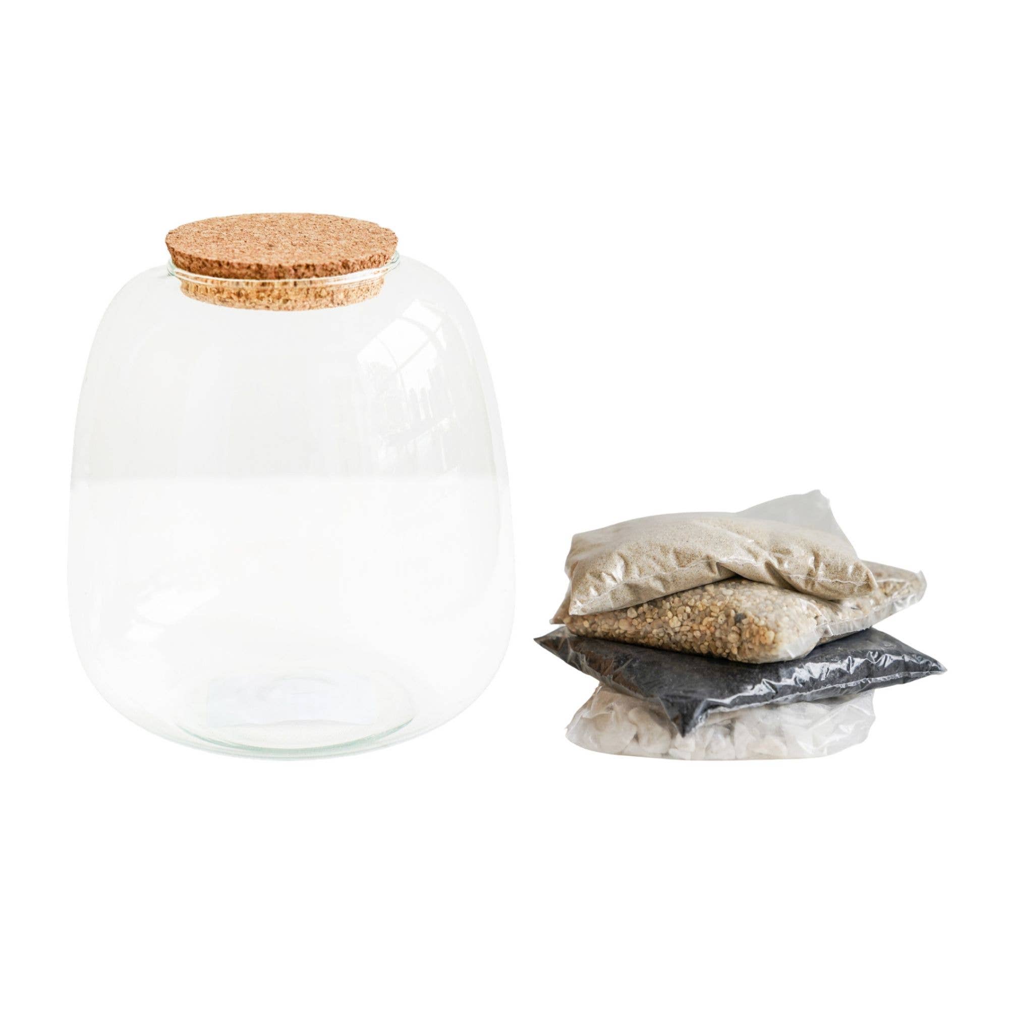 Ivyline - Vente Terrariums - Kit DIY terrarium moyen en forme de bol H20 cm D19 cm1