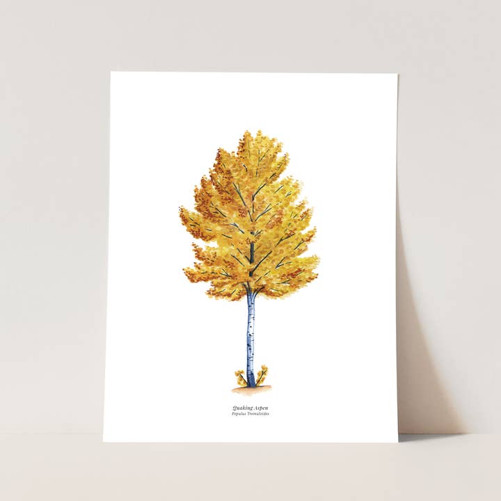 Impresión de Arte de Árbol | Decoración Minimalista de Otoño con Álamo Temblón para venta al por mayor de Watercolor Wednesday