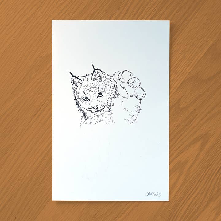 Luchs-Tintenzeichnung für den Großhandel von Robin Good Art & Design