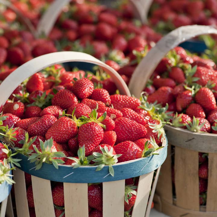 Wic Candle Co - Wholesale Jar/filled candle - Soy Wax Candle in Box5