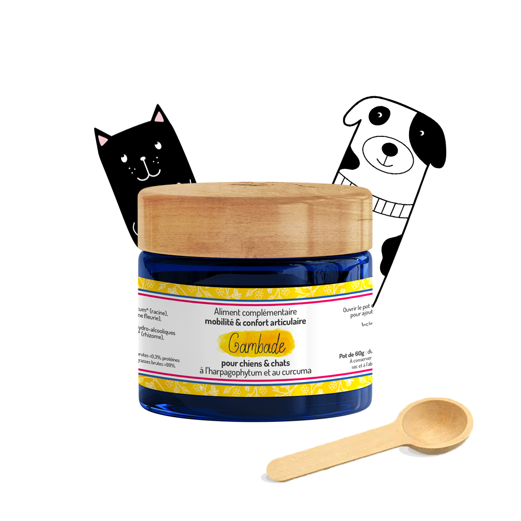 Truffe & Moustache - Vente Compléments alimentaires – chat et chien - Confort articulaire – Cure courte – Complément alimentaire0