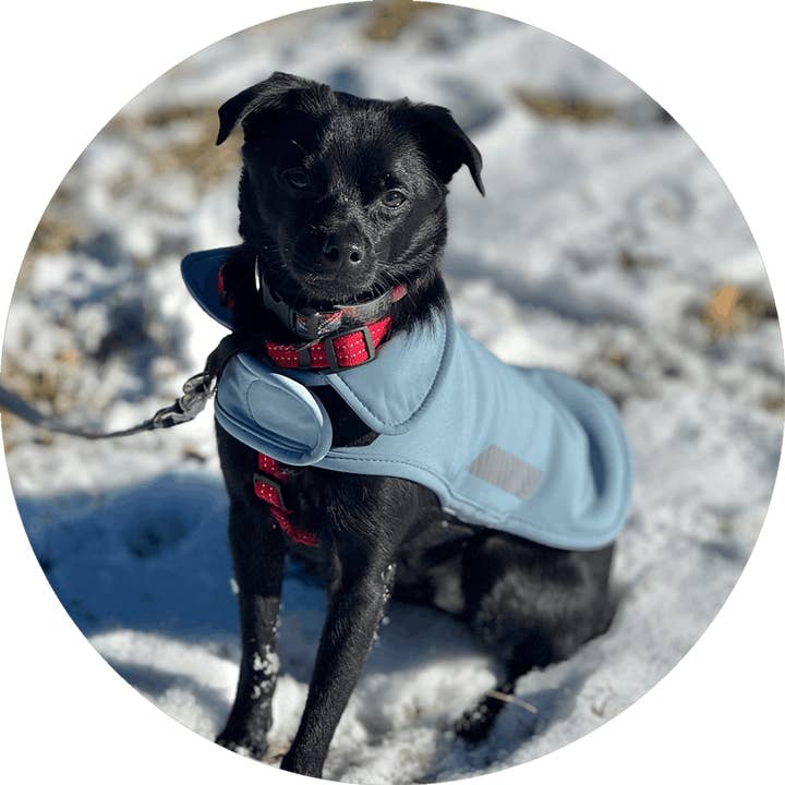 Wildebeest - Wholesale Pet Raincoat - Dog - All Weather Dog Jacket | Waterproof Dog Rain Coat | Fleece14