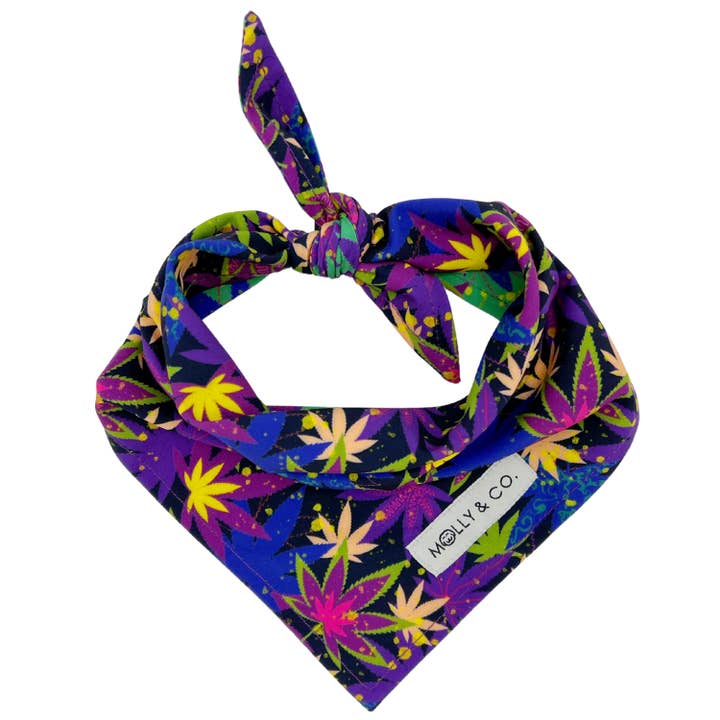 CannaPaws - Reversible Bandana for wholesale by Molly & Co.