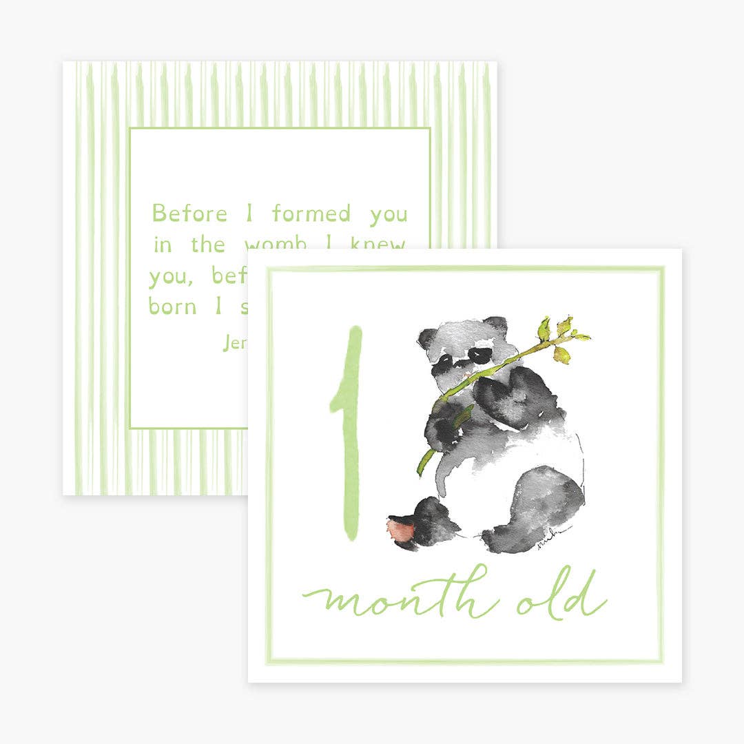 Anne Neilson Home – wholesale Milestone art/keepsake – Child & baby – Milestone Cards0