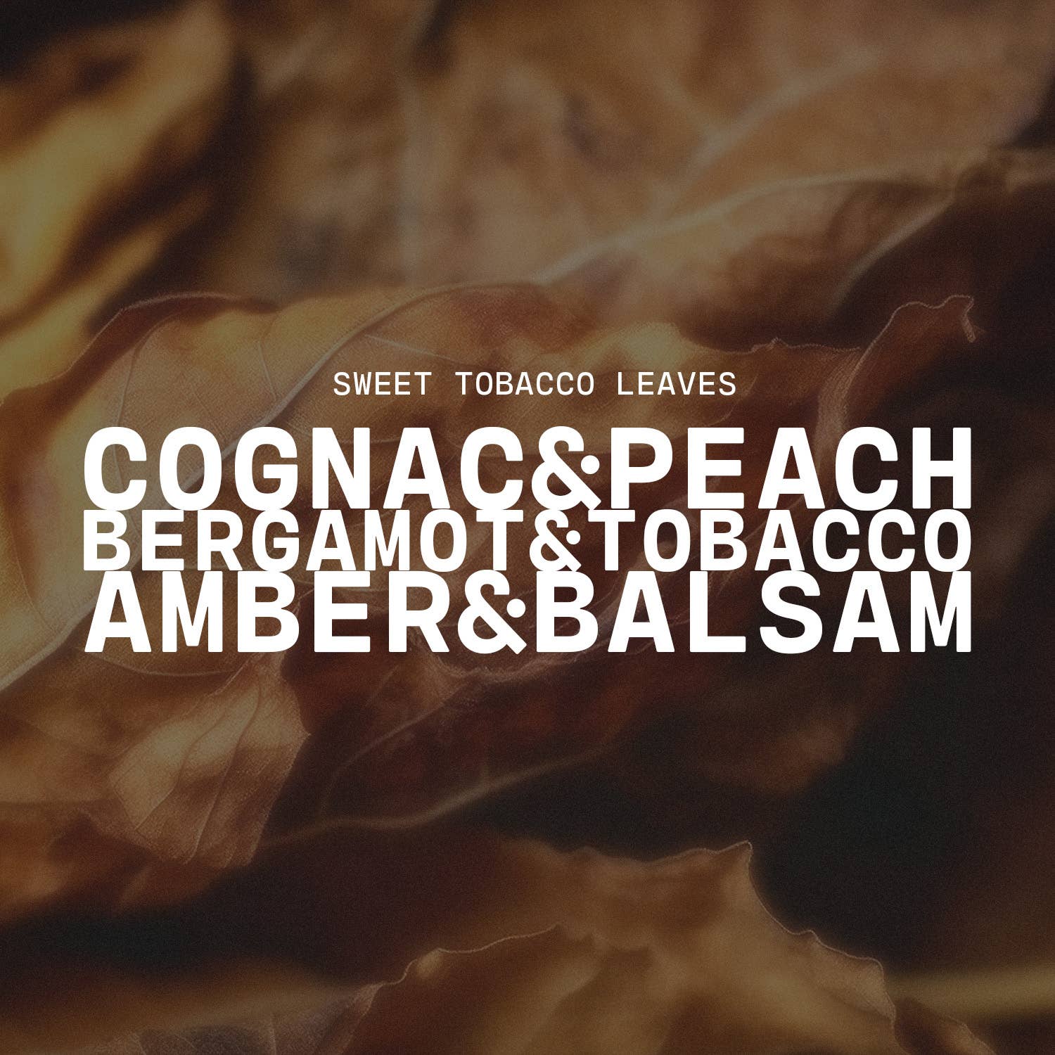 Milkhouse Candle Company - Wholesale Jar/Filled Candle - 16 oz Butter Jar Candle: Sweet Tobacco Leaves3