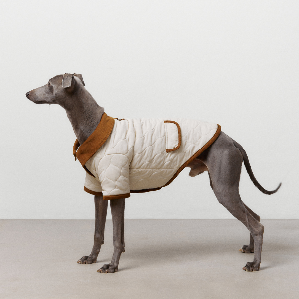 ARISTOPET – wholesale Hundjacka - Hund – Spencer-jacka för husdjur med vaddering och stilren design19