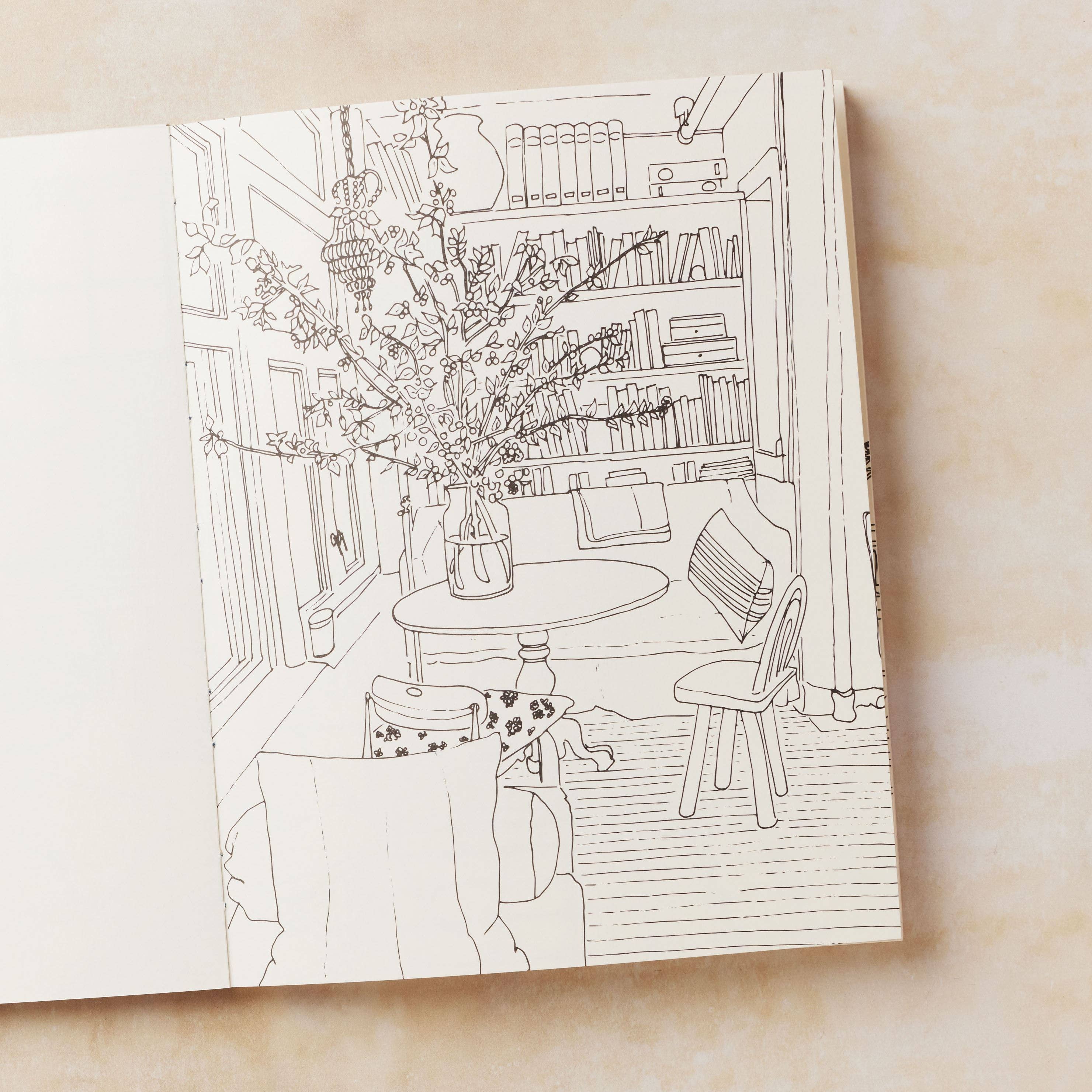 Bookspeed - Wholesale Coloring & Activity Book - Adult - Chez Moi: A Collection Of Beautiful Rooms To Colour In (HB)2