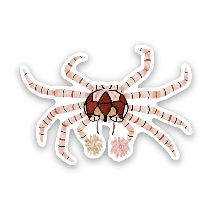 Autocollant en vinyle Boxer Crab/Pom-Pom Crab pour la vente par Proper Wolf
