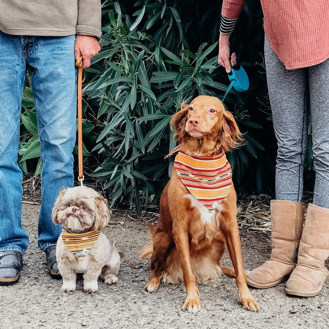 Nala Red Stacked Jeans