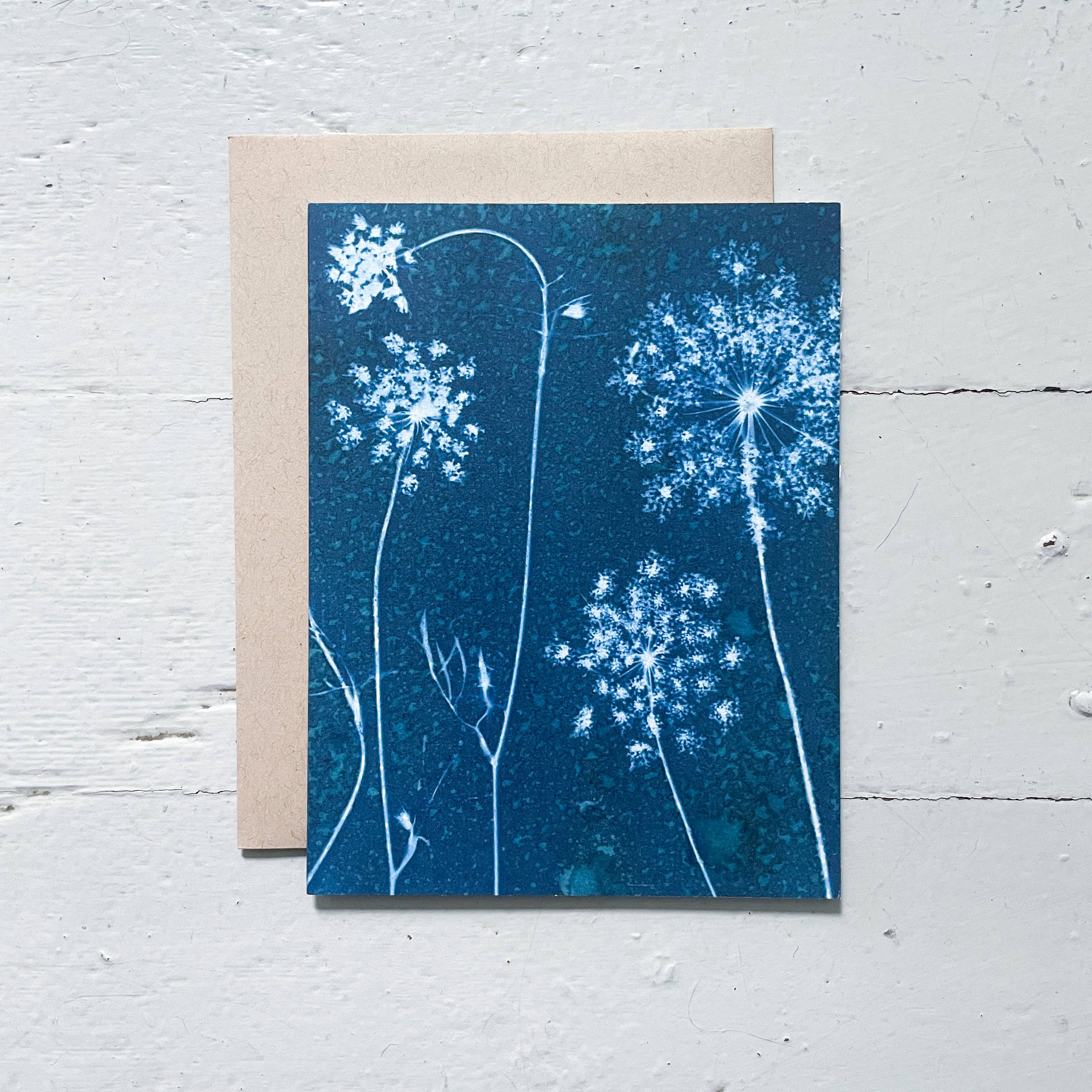 Atwater Designs - Vente Carte de vœux classique - Coffret de cartes de vœux Slow Mornings | Botanical Cyanotype11