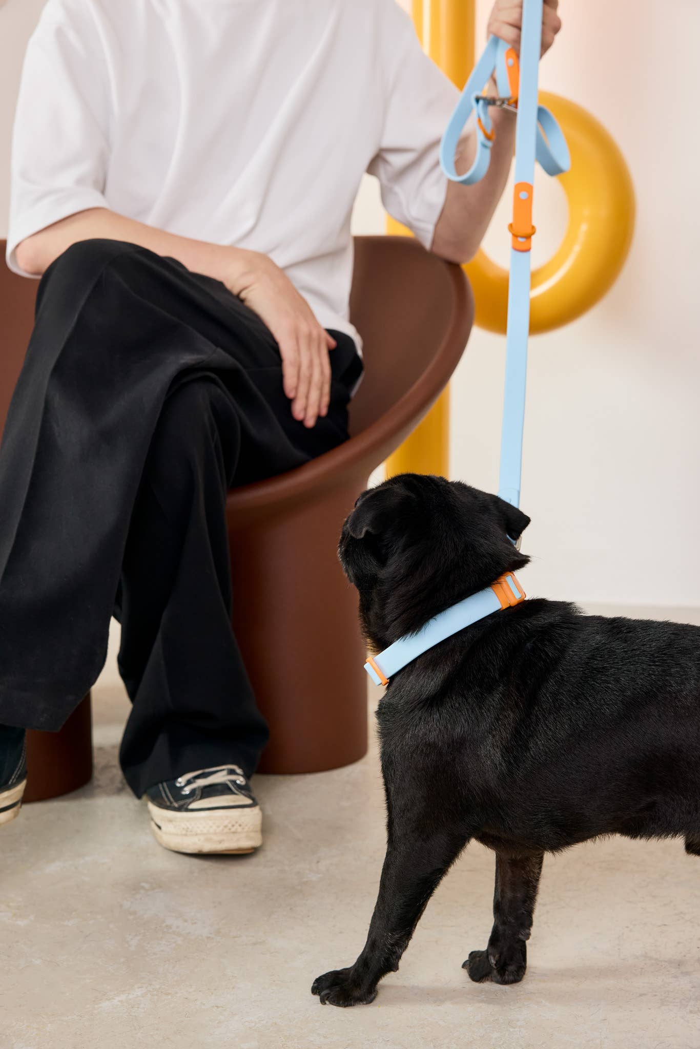 Approved by Fritz - USA - Wholesale Pet Collar - Dog - The Fritz Dog Collar 29