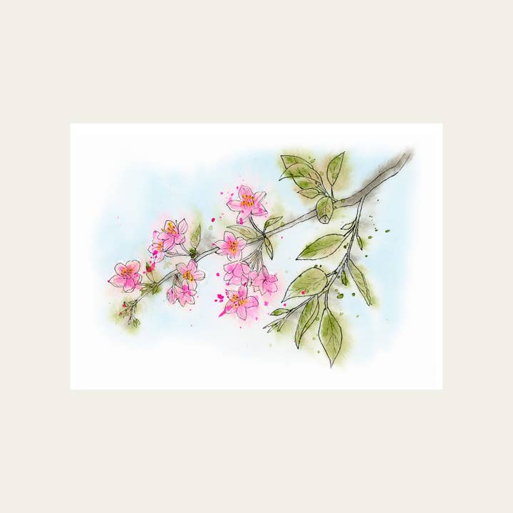 Cherry Blossoms - Blank Greeting Card for wholesale by Isabelle Hughes Art