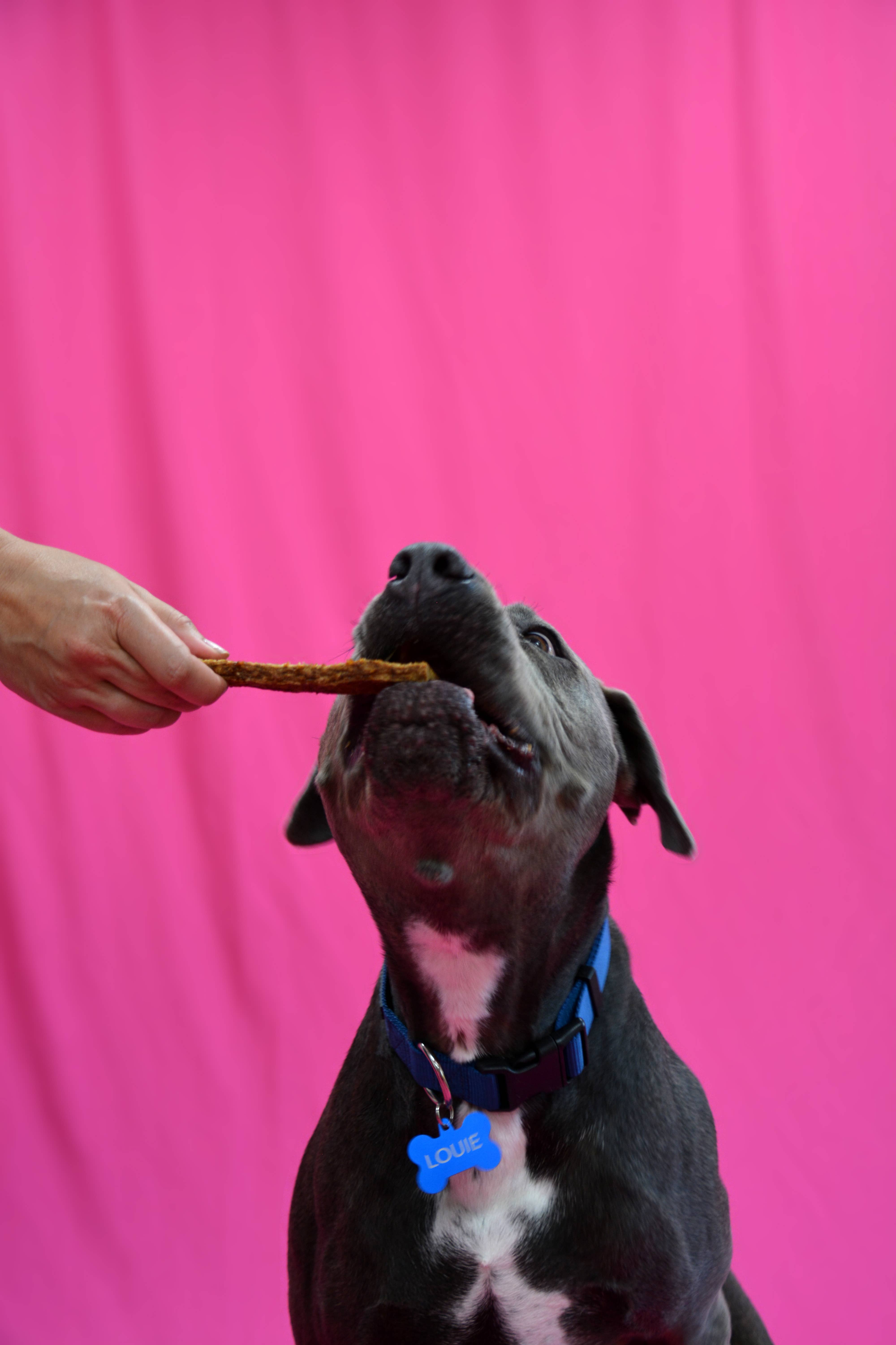 Jones Natural Chews - Wholesale Pet Treats - Dog - Barknola Bar - Chicken with Veggies3